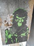 Le Singe Vert F.JPG